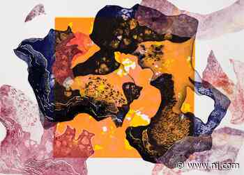 Artists unveil work they began last summer at Guttenburg Arts Gallery - NJ.com