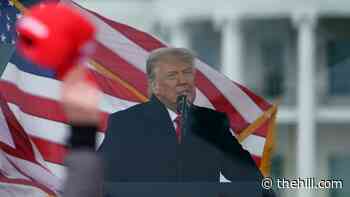 Trump puts pressure on Republicans, says he will 'never concede'