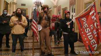 Pence removed from Senate as protestors beach Capitol security