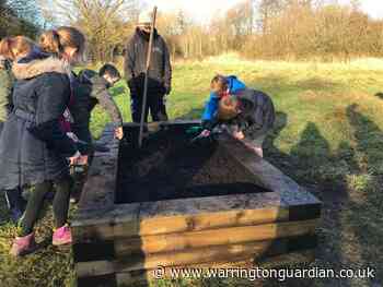 St Philip Primary School pupils help at Westbrook Orchard