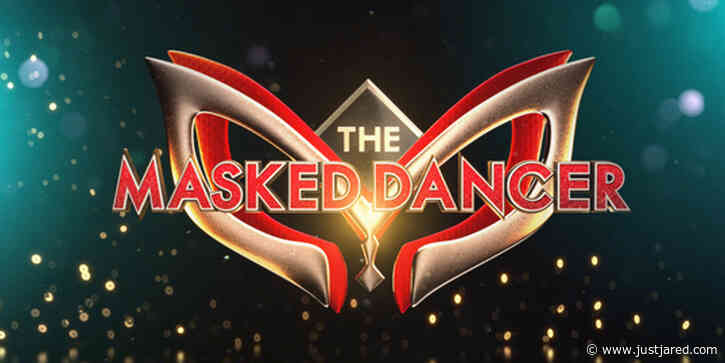 'The Masked Dancer' - Meet the 9 Remaining Contestants & See the Clues!