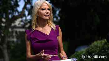 Kellyanne Conway calls for violent Capitol protesters to 'just STOP'