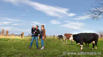 Grutto kiest voor Abovo Media/Maxlead en komt met eerste tv-commercial