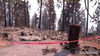 SQF Complex Fire reaches 100% containment, forest officials say