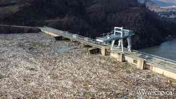 Plastic garbage clogging Serbian dam threatens hydroelectric plant