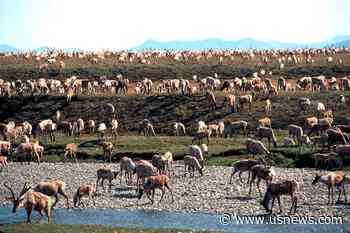 US Holds First Oil Lease Sale for Alaska's Arctic Refuge