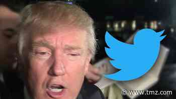 Twitter Suspends President Trump's Account for at Least 12 Hours