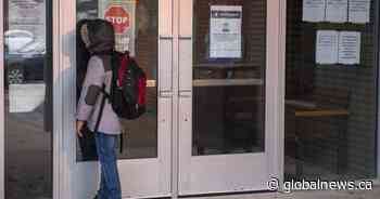 ‘We’re not in a lockdown when schools are open,’ Toronto-area doctors warn - Globalnews.ca