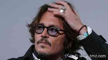 Johnny Depp's Hollywood Hills Home Hit by Alleged Burglar