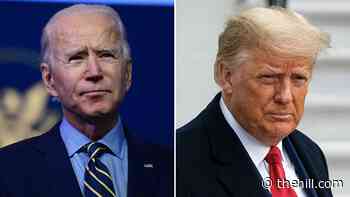 Trump promises peaceful transfer of power after Congress certifies Biden win