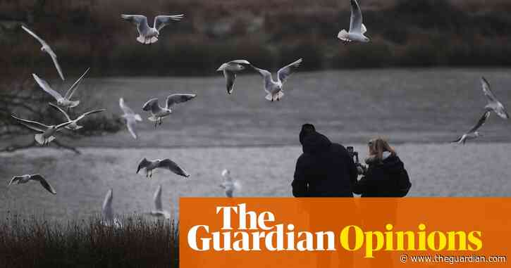 Amid the gloom of lockdown, I have taken solace in nature | David Lindo