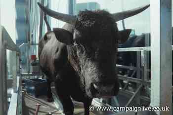 Moneysupermarket splits with Engine as it seeks new brand direction