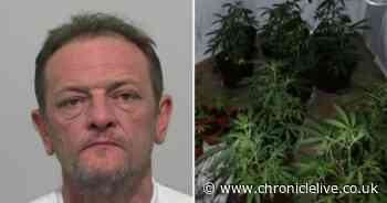 Police uncover £69,000 drug operation during raid at house