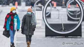 Yes, you can walk your dog, and other questions answered about Quebec's new lockdown restrictions