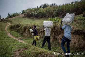 Under the Net Campaign: Net Distribution in Kampala, Wakiso Kicks Off Next Week - chimpreports.com