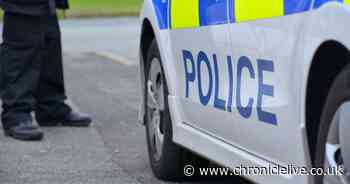 Tens of thousands of pounds in cash seized by police after car stopped on A1