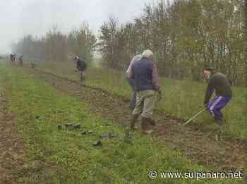 Novi di Modena: il Bosco dei bambini cresce - SulPanaro