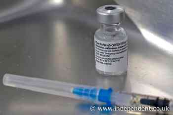 Polls show Americans are growing more confident about coronavirus vaccines