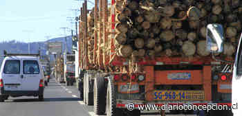 Camión con madera termina volcado en el ingreso sur de Coronel - Diario Concepción