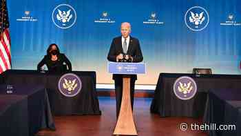 Biden says there was double standard in treatment of Capitol mob, BLM protesters