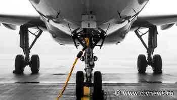 Canadian snowbirds chartering private jets to fly south for faster COVID-19 vaccine access