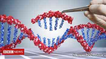 Consultation launched over gene edited food in England