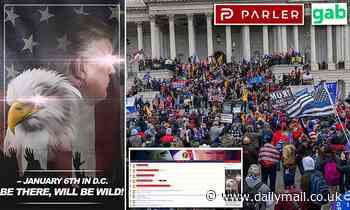 US Capitol riots planned by pro-Trump mob on social media app Parler