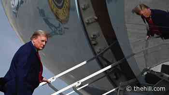 Calls grow louder to remove Trump under 25th Amendment