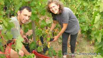 À Arras-sur-Rhône, Catherine et Pascal Jamet créent St Peray, St Joseph et vins des collines rhodaniennes - France Bleu