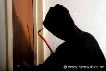 Twee bosmaaiers gestolen uit schuur in Voort - Het Nieuwsblad