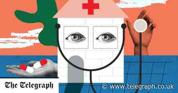 Meet the tech entrepreneur who believes he can defuse the NHS's Covid timebomb - Telegraph.co.uk