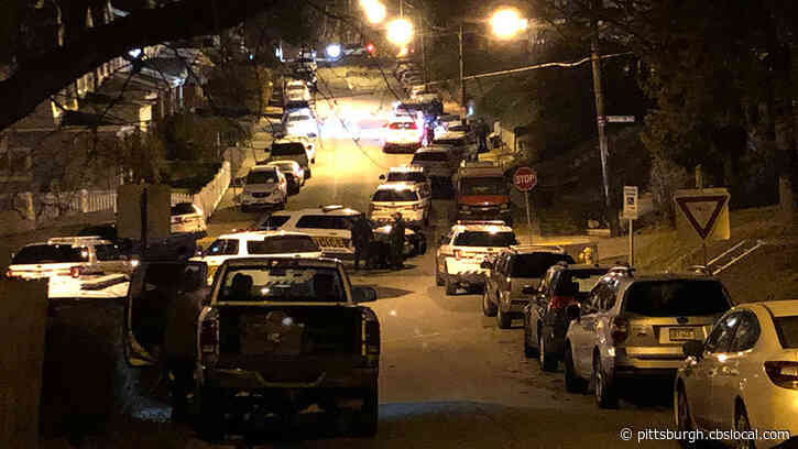 Pittsburgh Police And SWAT Respond To Domestic Incident