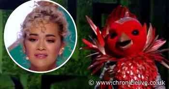 Masked Singer Robin throws judges with completely DIFFERENT voice