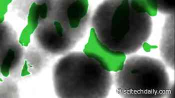 Plastic Pollution Is Everywhere: Research Reveals How It Travels