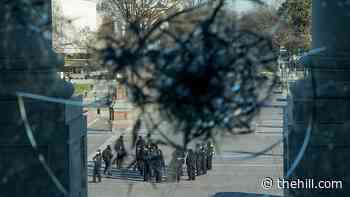 Bipartisan anger builds over police failure at Capitol