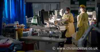 Shock figures reveal North East Covid death rates are second highest in UK