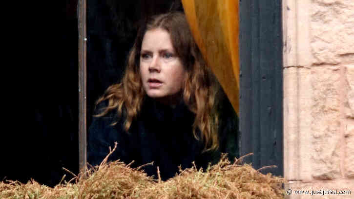 Netflix Officially Acquires Amy Adams' Long-Awaited Movie 'The Woman in the Window'