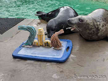 Aquarium of Niagara offering"716 Days" promotion- $7.16 admission with purchase of full-priced ticket