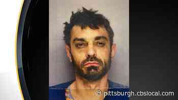 Beaver Co. Jail Escapee Back In Police Custody