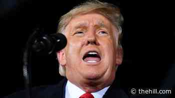 Dominion Voting doesn't rule out suing Trump, media allies over election conspiracy theories