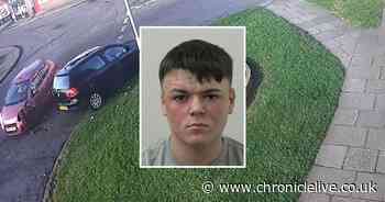 Danger driver crashed head on while taking roundabout the wrong way during chase