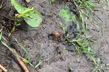 Police called to investigate reports of human remains find 'pota-toe' - Dudley News
