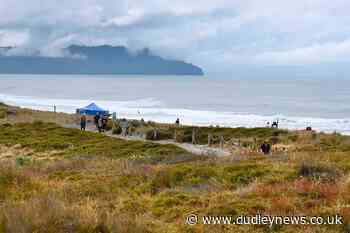 Woman dies in suspected shark attack in New Zealand - Dudley News