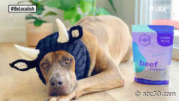 Dog mom starts raw dog treat company named after her rescue