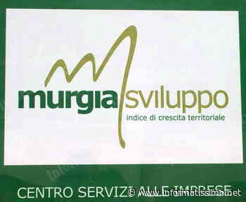 Putignano - Attivato lo Sportello Unico per le Attività Produttive (SUAP) - Putignano Informatissimo