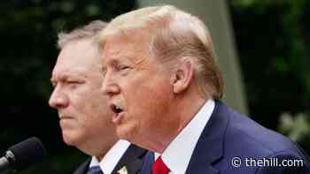 US diplomats urge State Department to denounce Trump role in Capitol riot