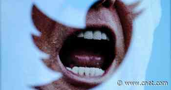 Facebook, Twitter, YouTube need to let someone else moderate their platforms     - CNET