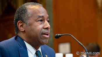 Ben Carson dismisses 25th Amendment talk: 'As a nation we need to heal'