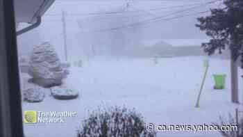 Old man winter settles into Sault Ste. Marie, Ont. - Yahoo News Canada