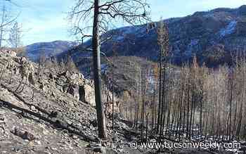 When wildfire burns a high mountain forest, what happens to the snow and runoff?
